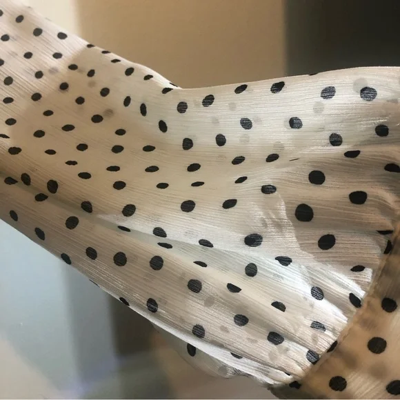 Madewell Sheer MIDI Dress with Polka Dots and Ruffles, size XXS. - Picture 9 of 12